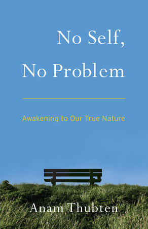 No Self, No Problem by Anam Thubten