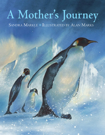 A Mother's Journey by Sandra Markle