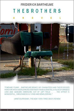 The Brothers by Frederick Barthelme