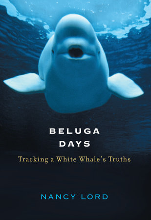 Beluga Days by Nancy Lord