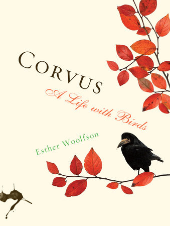 Corvus by Esther Woolfson