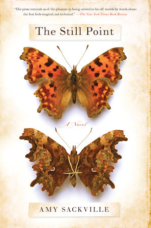 The Still Point by Amy Sackville