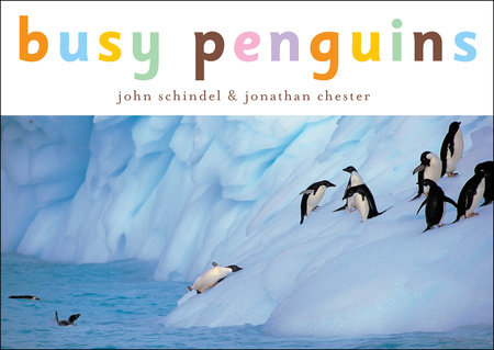 Busy Penguins by John Schindel