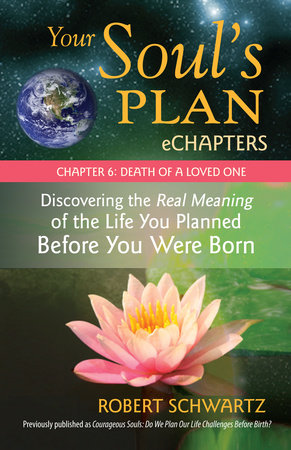 Your Soul's Plan eChapters - Chapter 6: Death of a Loved One by Robert Schwartz