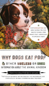 Why Dogs Eat Poop, and Other Useless or Gross Information About the Animal Kingdom