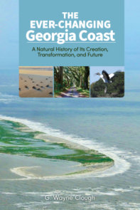 The Ever-Changing Georgia Coast