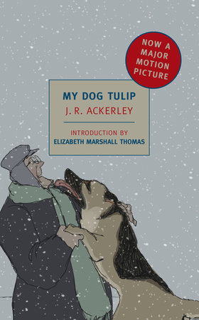 My Dog Tulip by J. R. Ackerley