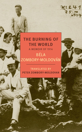 The Burning of the World by Bela Zombory-Moldovan