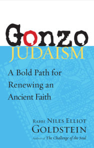 Gonzo Judaism