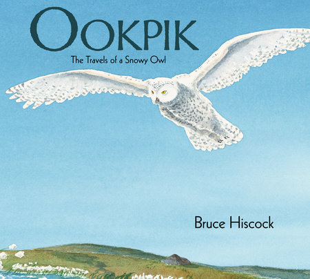 Ookpik by Bruce Hiscock