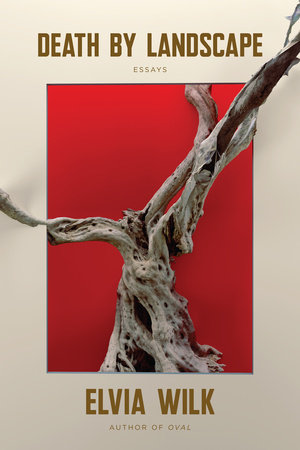 Death by Landscape by Elvia Wilk