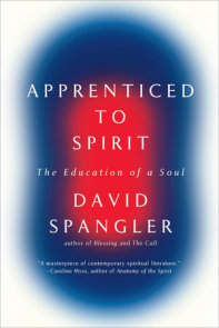 Apprenticed To Spirit