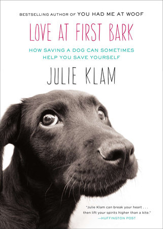 Love at First Bark by Julie Klam