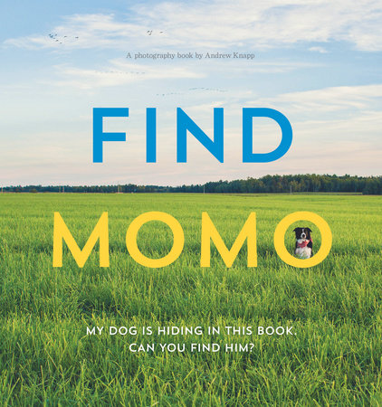 Find Momo by Andrew Knapp