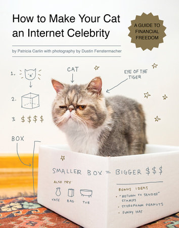 How to Make Your Cat an Internet Celebrity by Patricia Carlin; photography by Dustin Fenstermacher