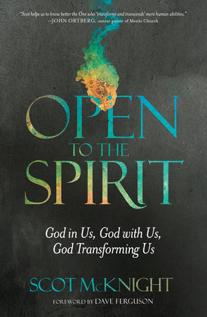 Open to the Spirit by Scot McKnight