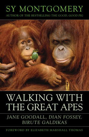 Walking with the Great Apes by Sy Montgomery