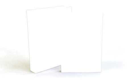 Lean Logic / Surviving the Future Set (2-Book Bundle) by David Fleming