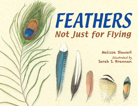 Feathers by Melissa Stewart