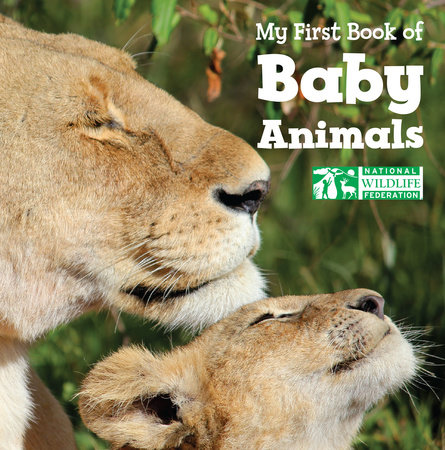 the baby animal book