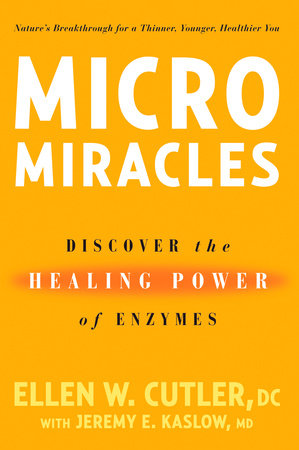 MicroMiracles by Ellen Cutler and Jeremy Kaslow