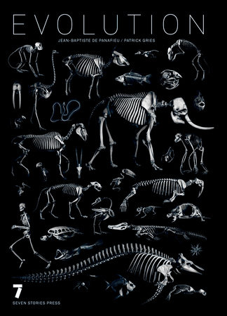 Evolution by Jean-Baptiste de Panafieu