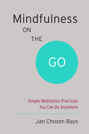 Mindfulness on the Go (Shambhala Pocket Classic) by Jan Chozen Bays