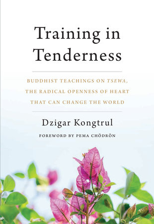 Training in Tenderness by Dzigar Kongtrul