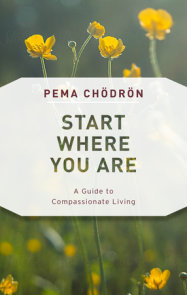 Comfortable With Uncertainty By Pema Chodron 9781611805956