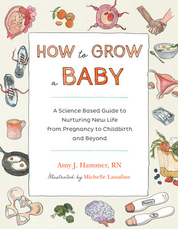 How to Grow a Baby by Amy J. Hammer