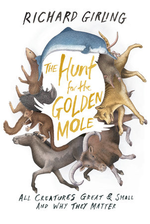 The Hunt for the Golden Mole by Richard Girling