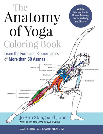 The Anatomy of Yoga Coloring Book by Jo Ann Staugaard-Jones