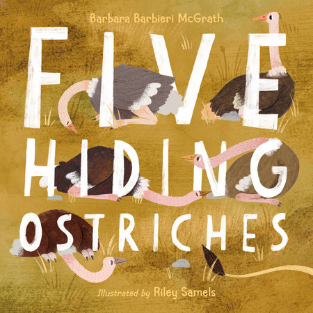 Five Hiding Ostriches by Barbara Barbieri McGrath