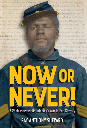 Now or Never! by Ray Anthony Shepard