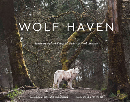 Wolf Haven by Brenda Peterson