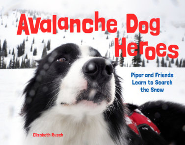 Avalanche Dog Heroes