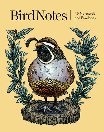 BirdNotes (16 notecards, 8 original designs) by BirdNote