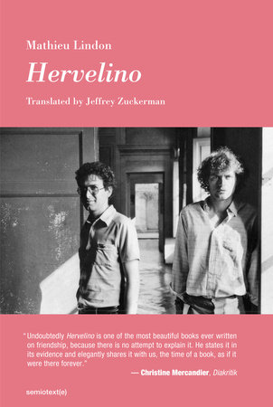 Hervelino