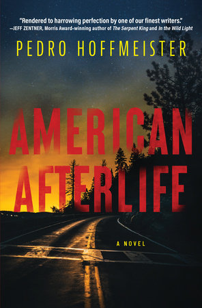 American Afterlife by Pedro Hoffmeister
