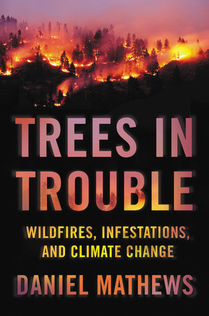 Trees in Trouble by Daniel Mathews