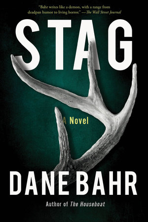 Stag by Dane Bahr