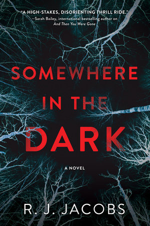 Somewhere in the Dark by R. J. Jacobs