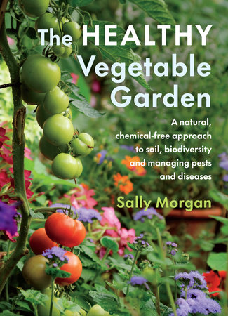 The Healthy Vegetable Garden by Sally Morgan