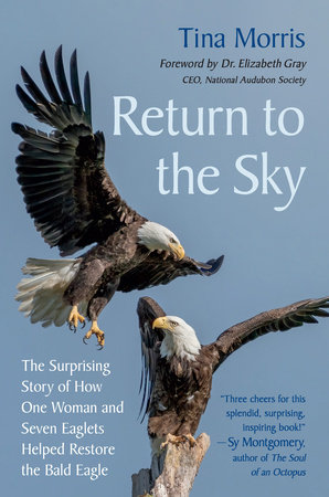 Return to the Sky by Tina Morris