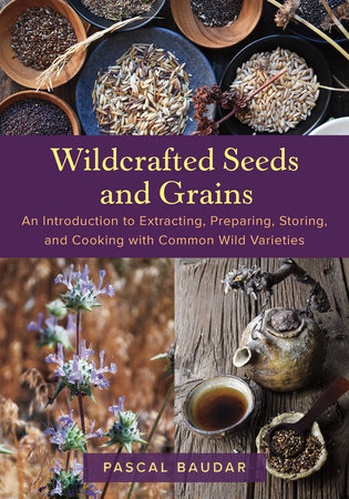 Wildcrafted Seeds and Grains by Pascal Baudar