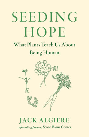 Seeding Hope by Jack  Algiere