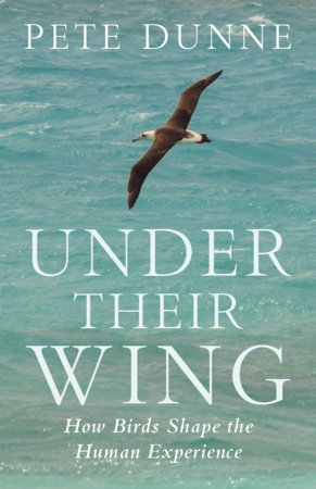 Under Their Wing by Pete Dunne