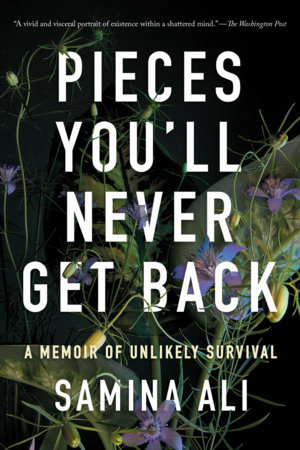 Pieces You'll Never Get Back by Samina Ali