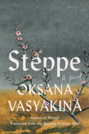 Steppe by Oksana Vasyakina