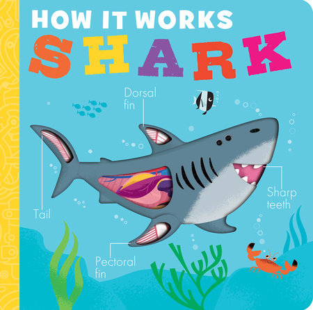 How It Works: Shark by Molly Littleboy